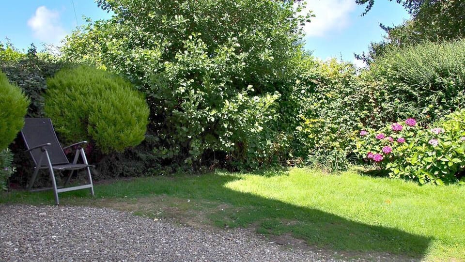 House | Garden view