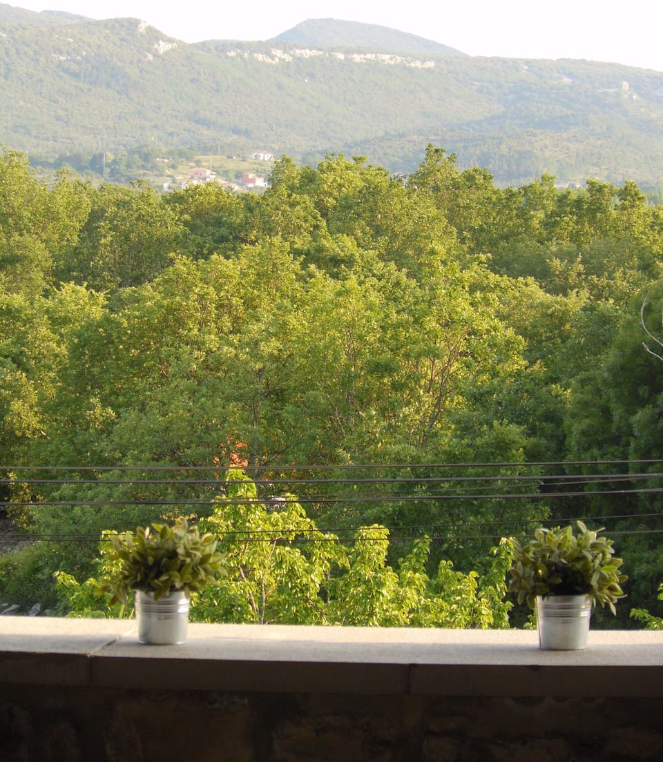 View of the valley from the south covered terrace