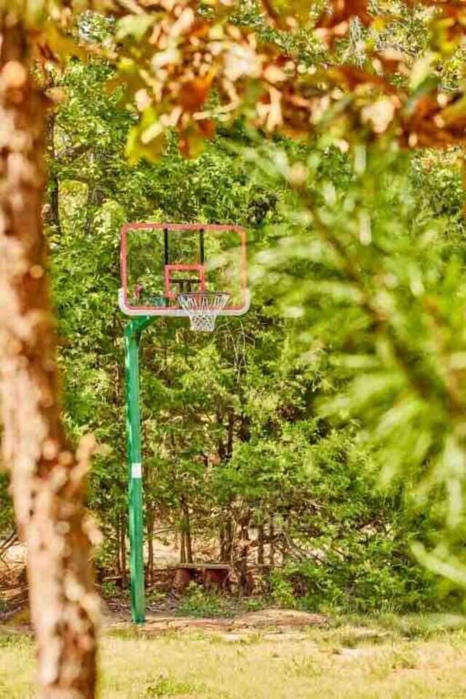 Who’s up for 🏀 BASKETBALL game of Horse or 1-on1?   The basket is in meadow & next to giant gum balls tree.   Find balls in wicker chest on Outside Living room porch.