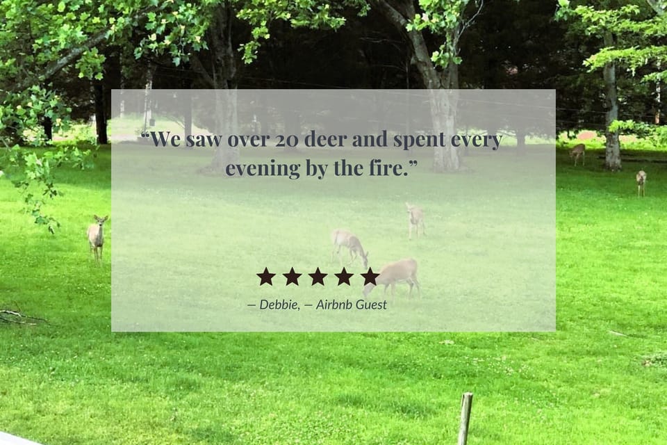 Seeing deer in the yard is part of everyday life here. Settle in by the fire and watch them wander through at dusk.