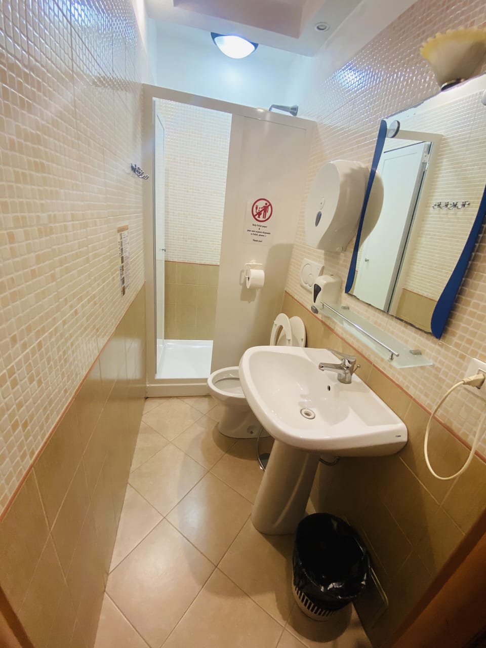 Shower, free toiletries, hair dryer, bidet