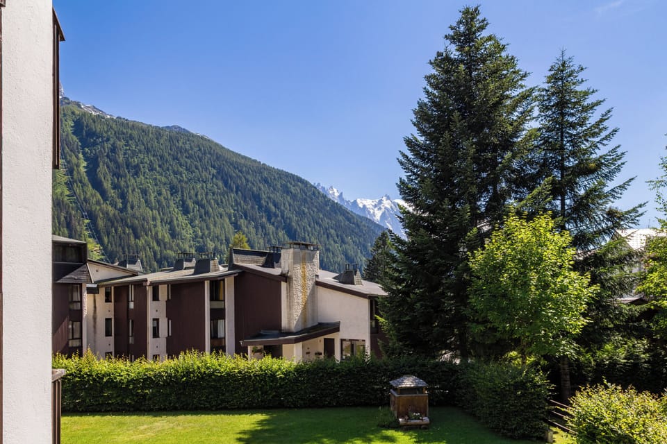 South facing with a Mont Blanc view