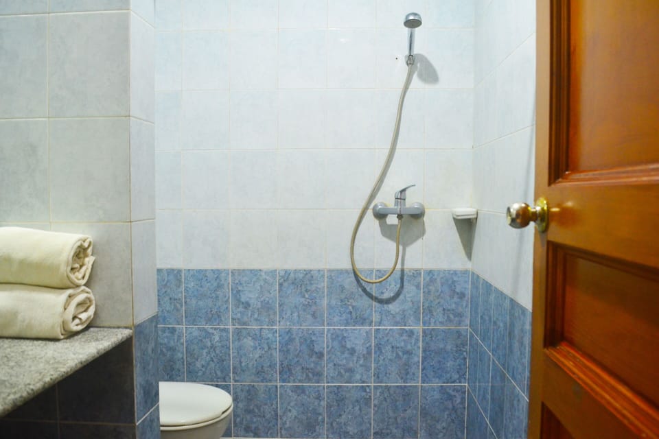 Family Room | Bathroom | Shower, hair dryer, towels