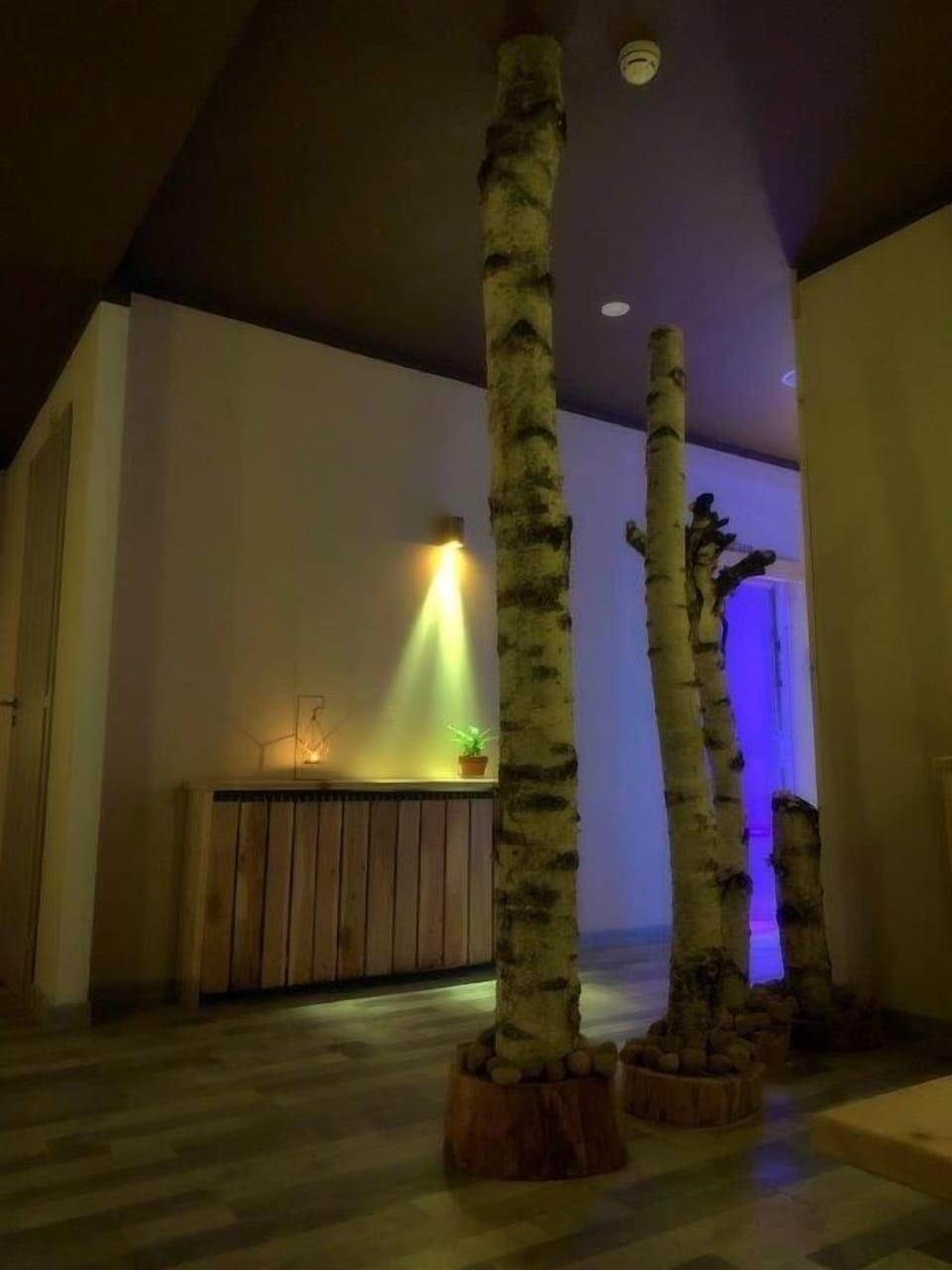 Sauna, hot tub, steam room