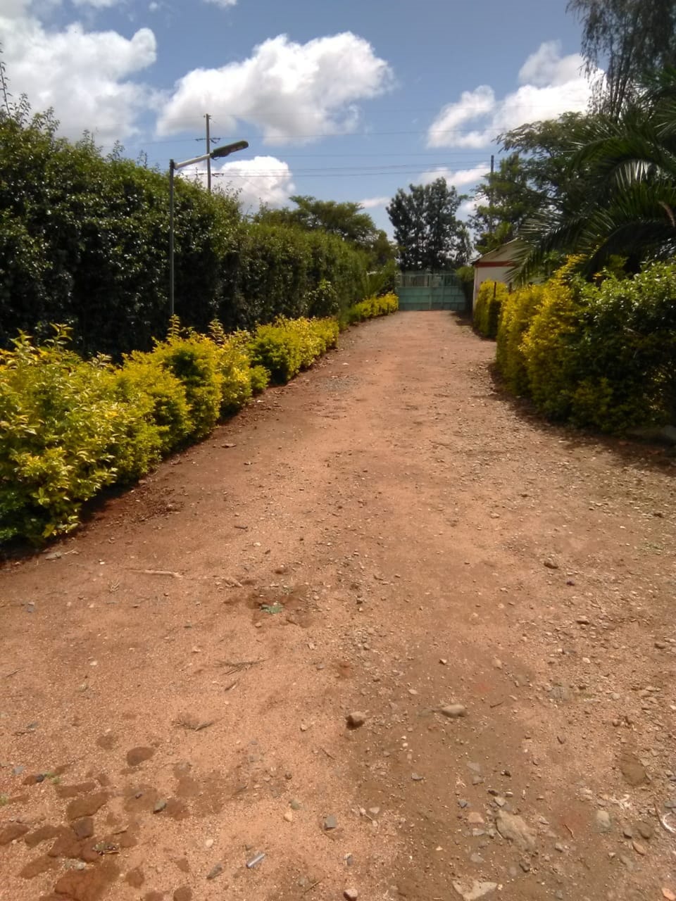 Victoria Court Bed and Breakfast in Kenya