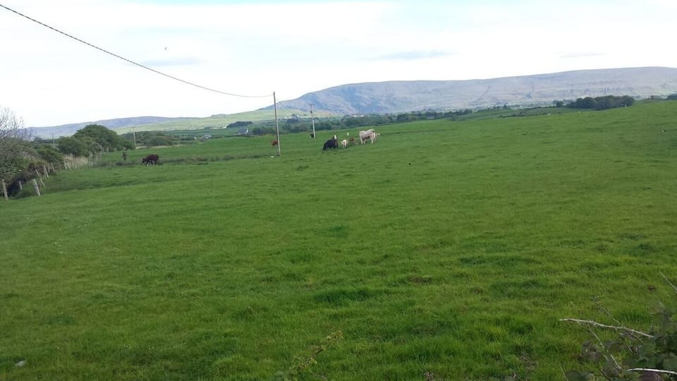 View at Rear of House