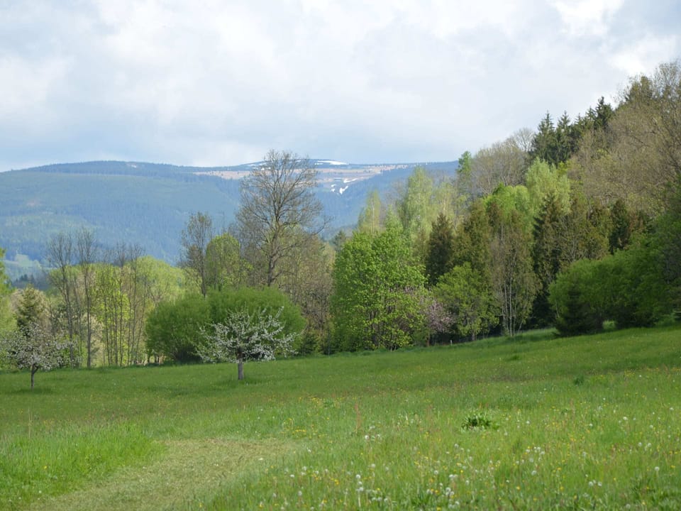 Apartment | View from property