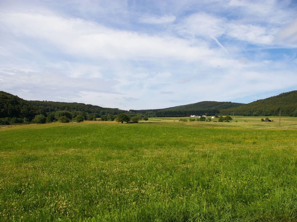 House | View from property