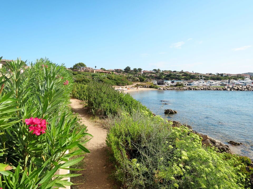 Natural Landscape, Vegetation, Nature, Shore, Coast, Nature Reserve, Plant, Sea, Flower, Bank