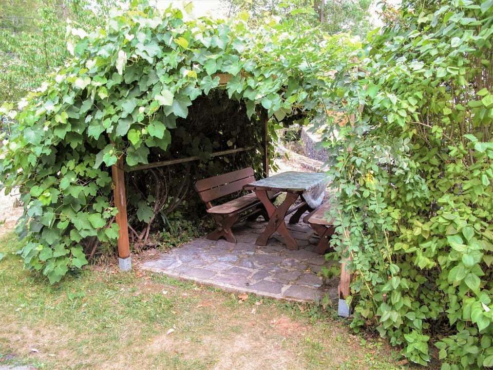 Plant, Plant Community, Outdoor Bench, Leaf, Shade, Natural Landscape, Grass, Outdoor Furniture, Wood, Bench