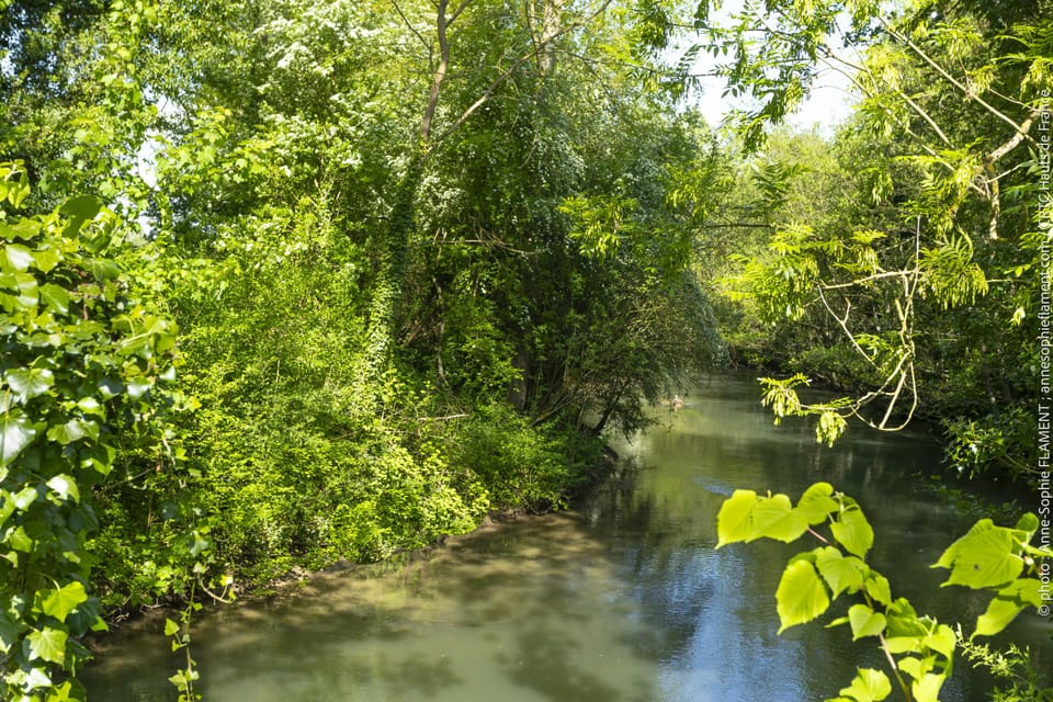 Superior Suite, Accessible, Ensuite | View from property