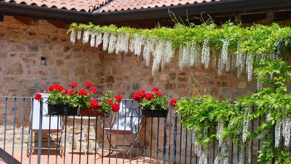 Deluxe Double Room | Terrace/patio