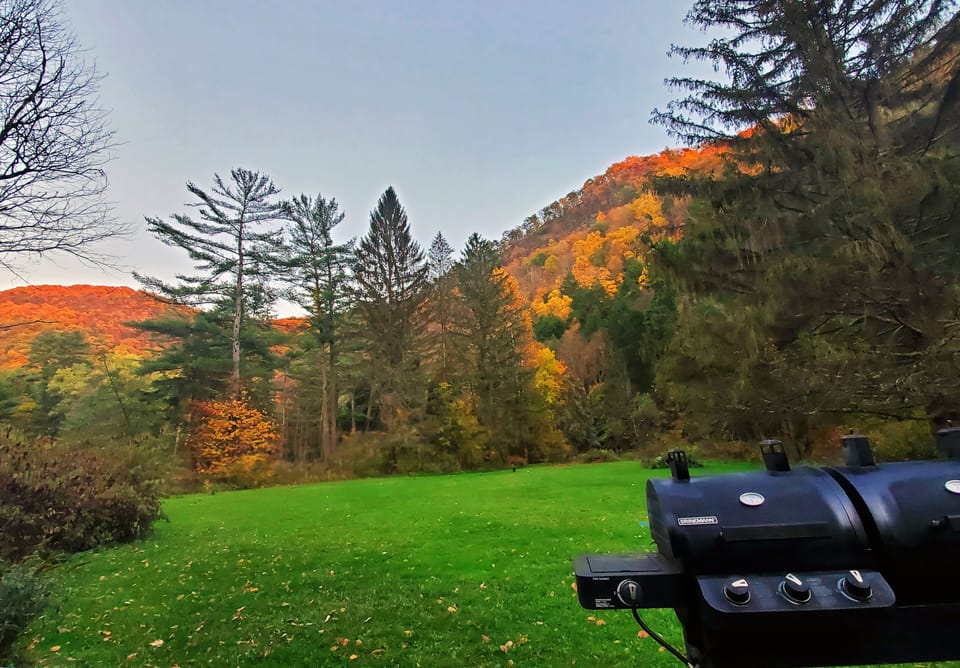 Stunning fall foliage all around the property
