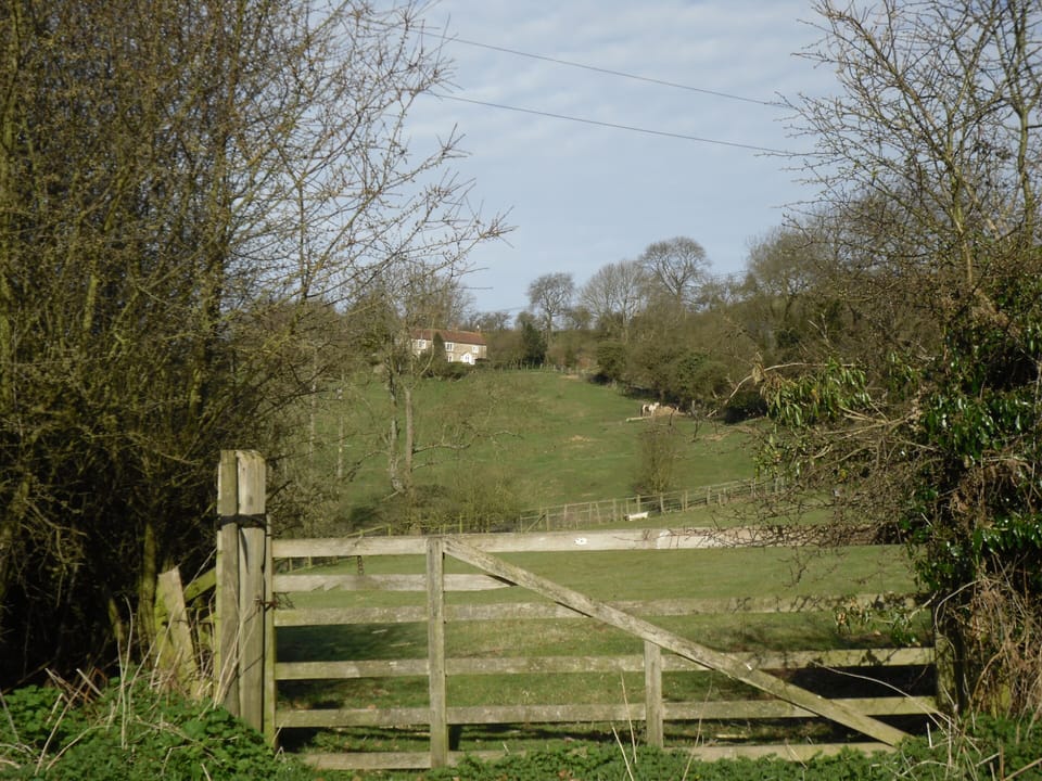 Cottage | Golf