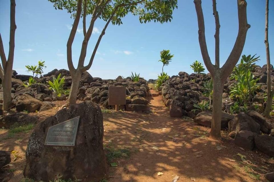 Condo, 1 Bedroom | Property grounds