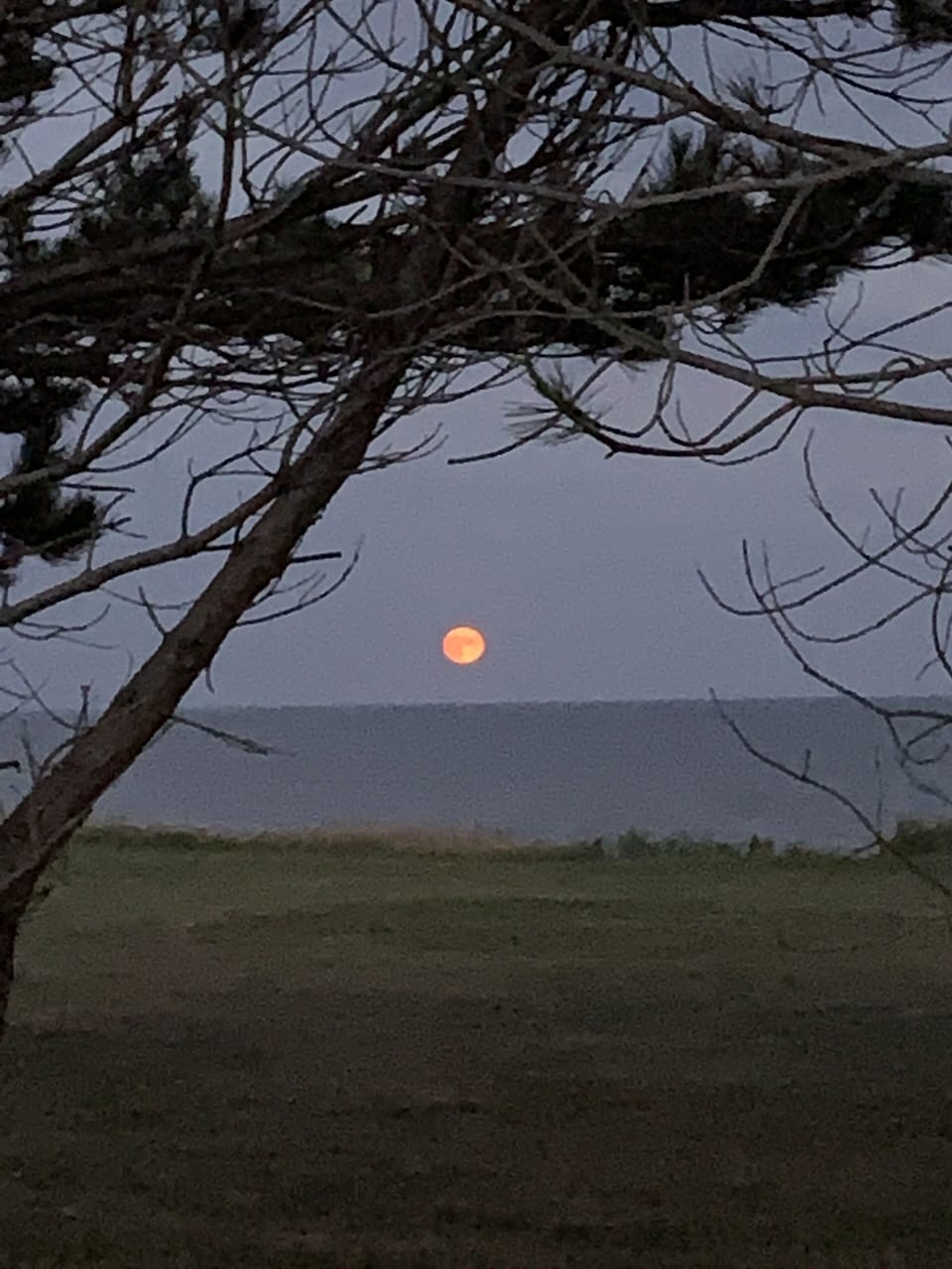 The red moon
