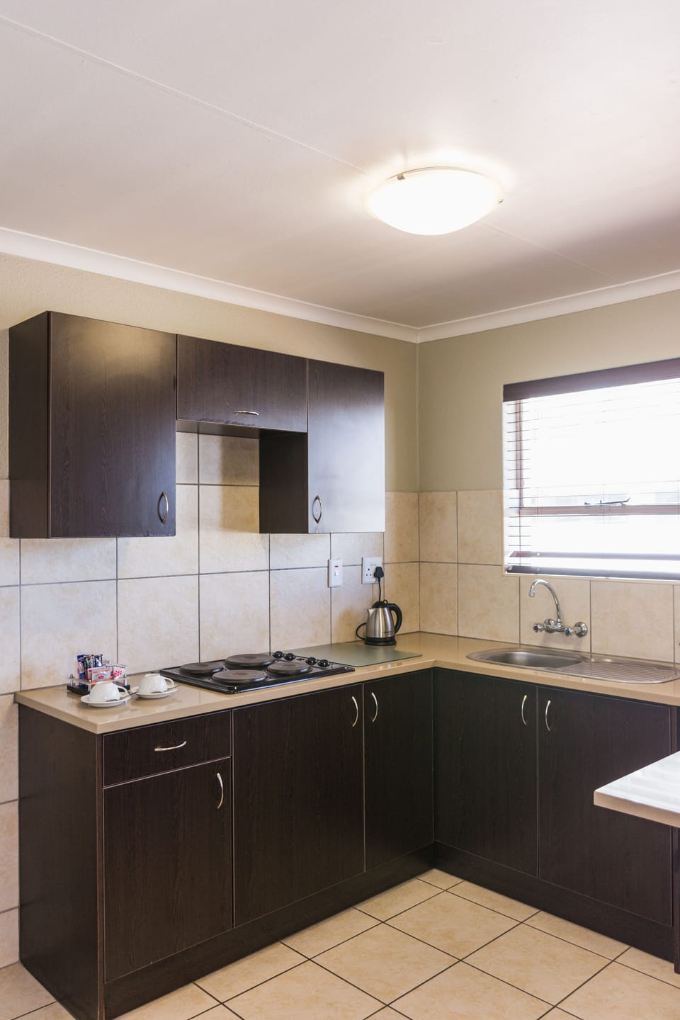 Standard Apartment, 1 Queen Bed | Private kitchenette | Fridge, microwave, stovetop, coffee/tea maker