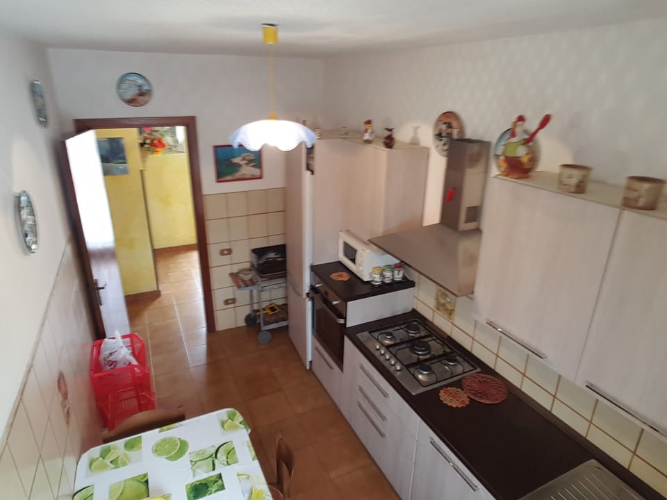 Panoramic Apartment, 1 Bedroom, Terrace, Sea View | Private kitchen | Full-size fridge, microwave, oven, stovetop