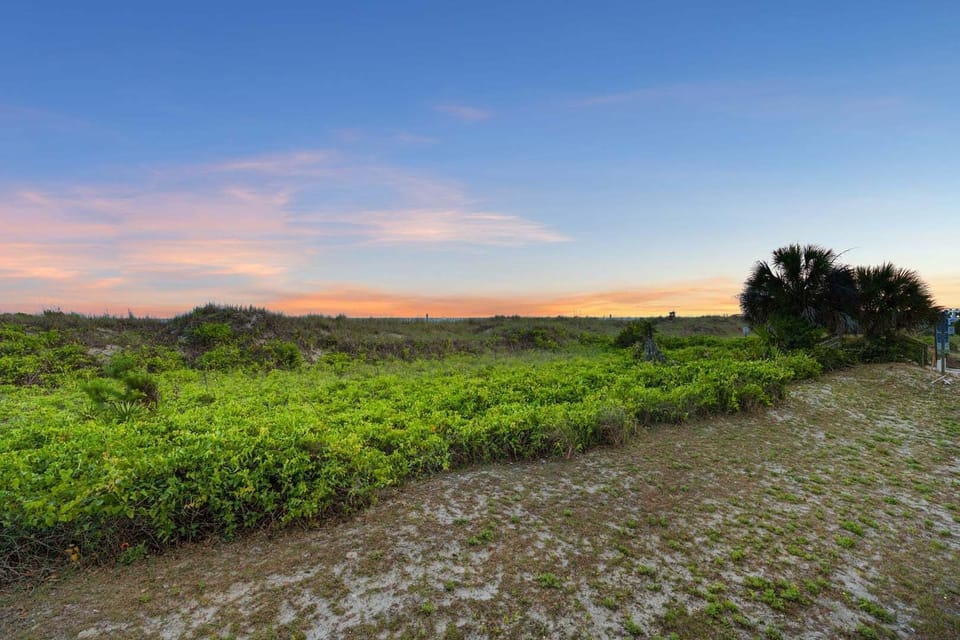 Sunset over the dunes and palms at Surf Villas II C1, a 3-bedroom Ocean Drive rental in North Myrtle Beach