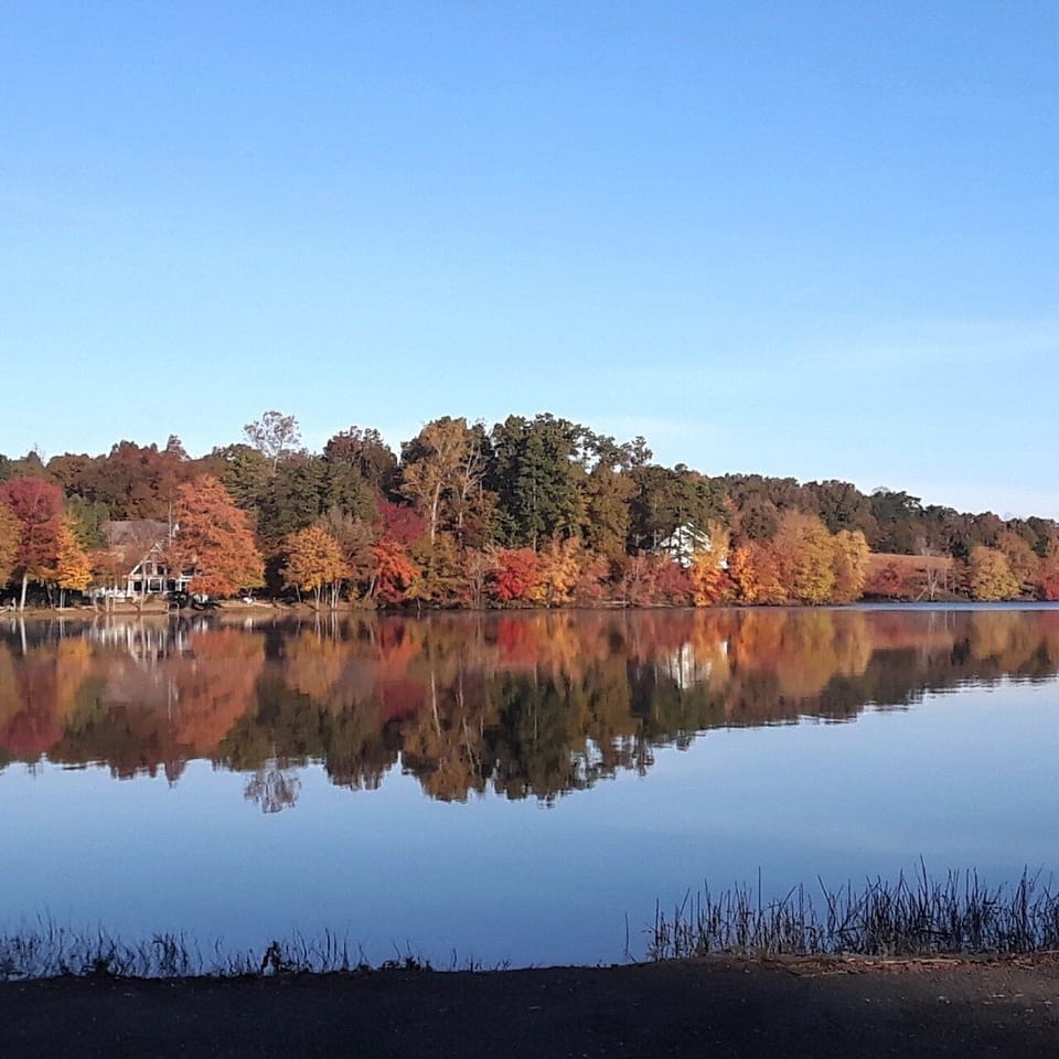 Lake