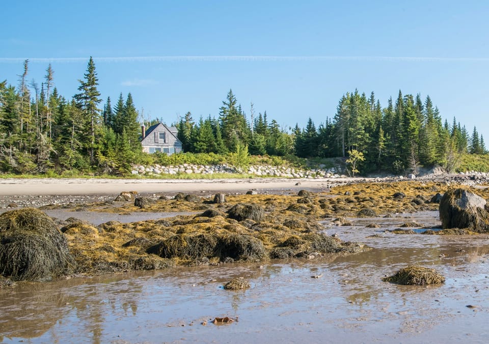 View of the beach and cottage at low tide 