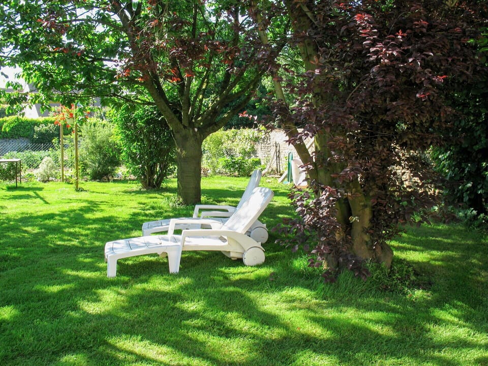 Plant, Furniture, Plant Community, Outdoor Bench, Tree, Outdoor Furniture, Natural Landscape, Shade, Woody Plant, Bench