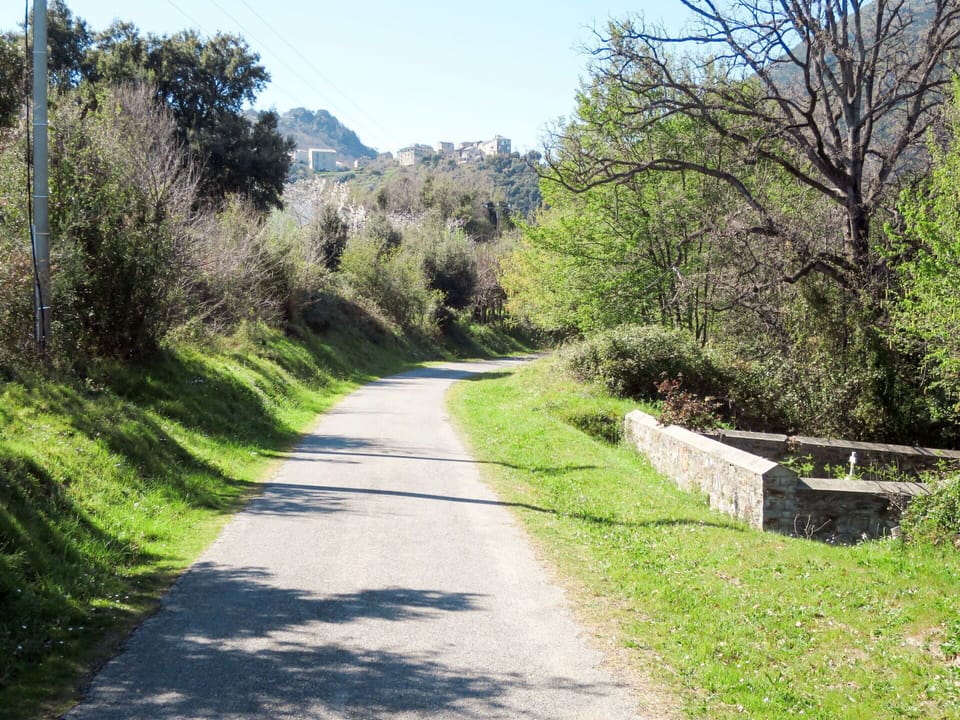 Plant, Sky, Natural Landscape, Tree, Land Lot, Road Surface, Mountain, Shrub, Grass, Landscape