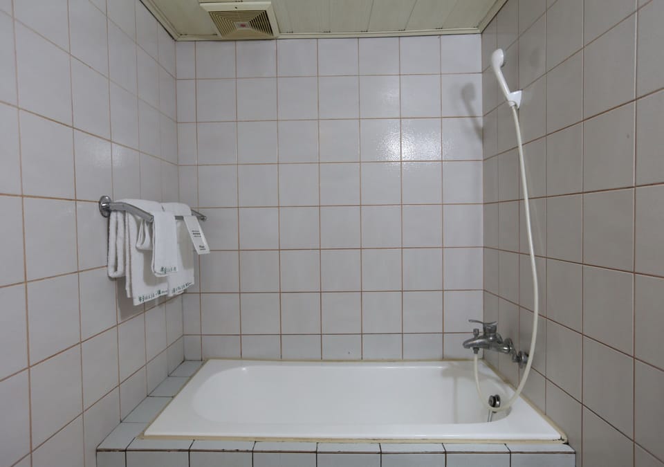 Combined shower/tub, hair dryer, towels, soap