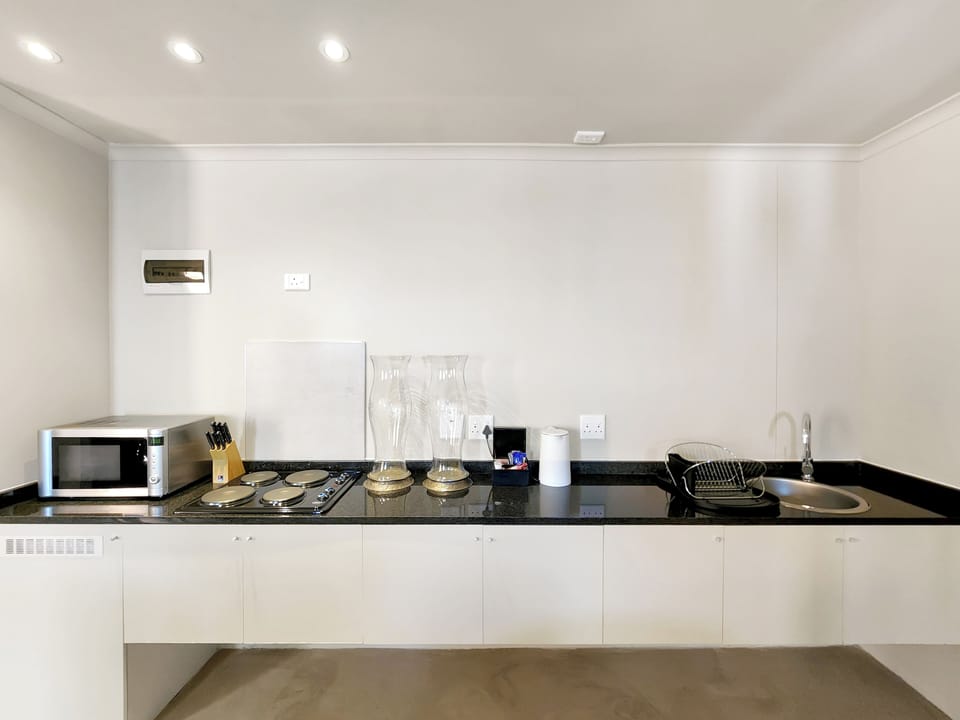 Deluxe Suite 301 / Kitchenette & Sleeper | Private kitchen | Coffee/tea maker, electric kettle, freezer, dining tables