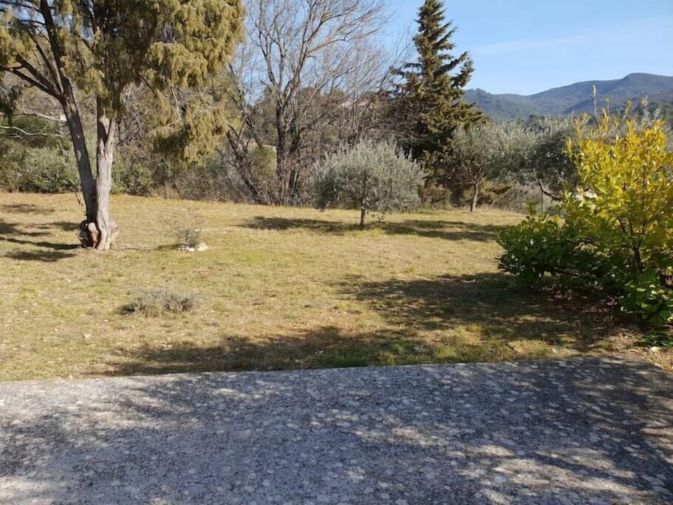 3105369f ad79 443e bdb1 9c8299a75815