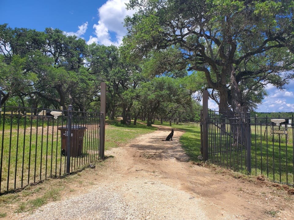 Entry Gate