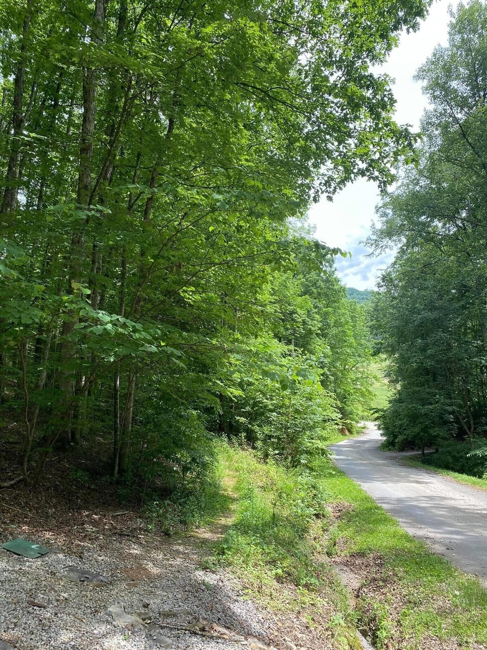 Summer view of the road