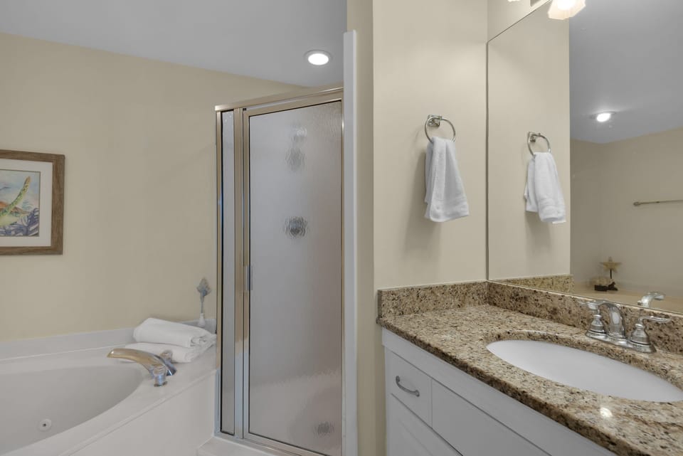 Master bathroom