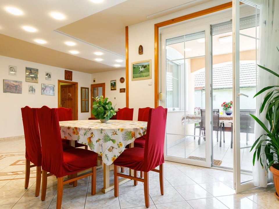 Plant, Table, Furniture, Property, Houseplant, Flowerpot, Chair, Decoration, Interior Design, Tablecloth