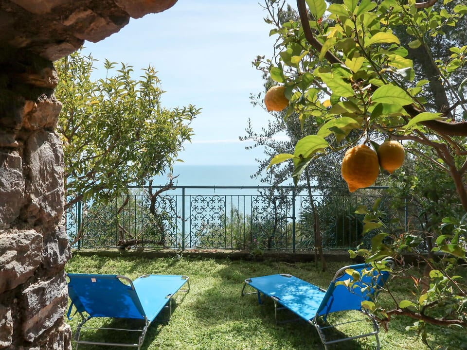 Sky, Plant, Nature, Chair, Tree, Shade, Biome, Grass, Outdoor Furniture, Natural Landscape