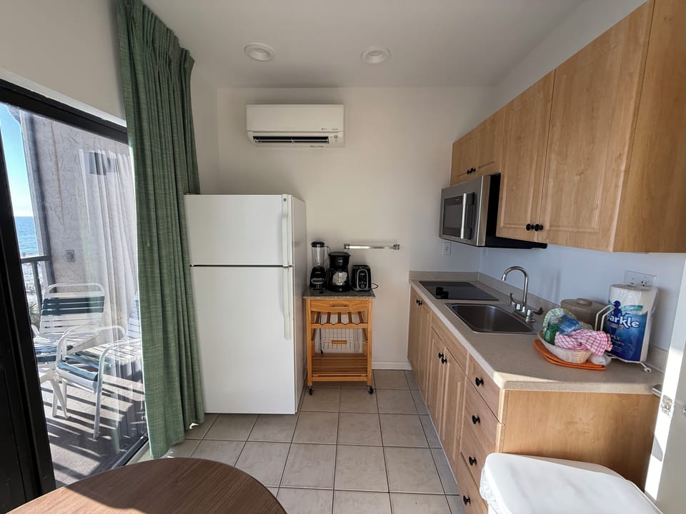 Kitchenette  view from living area .