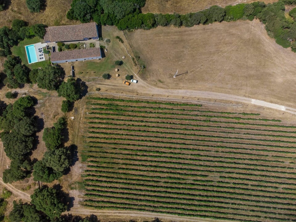 Ecoregion, Plant, Building, Window, Land Lot, Slope, Biome, Tree, Grass, Landscape