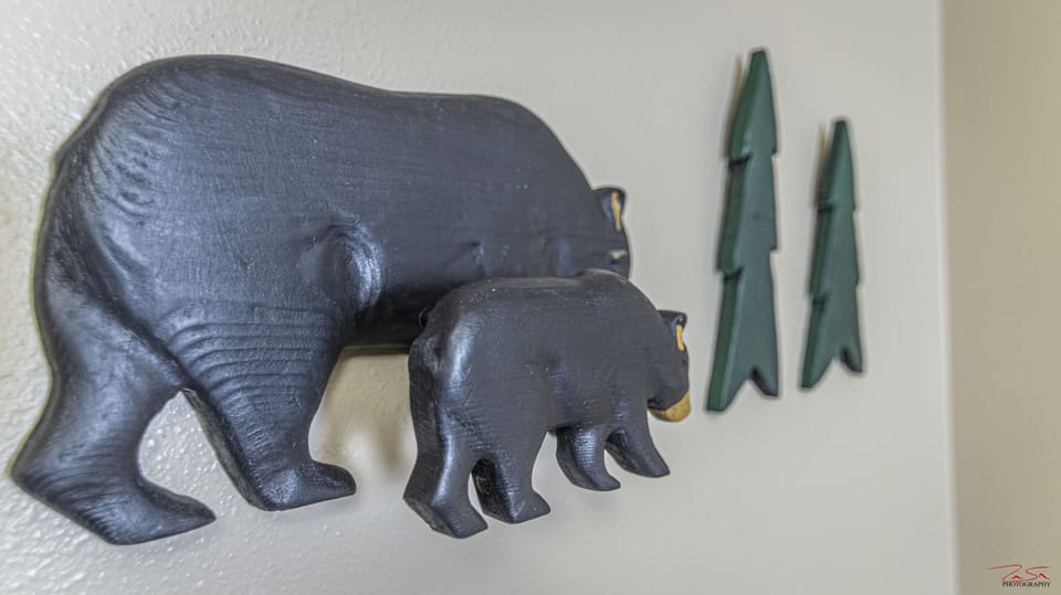 Black bear room