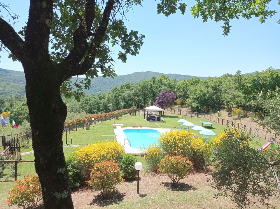 Seasonal outdoor pool, pool umbrellas, sun loungers