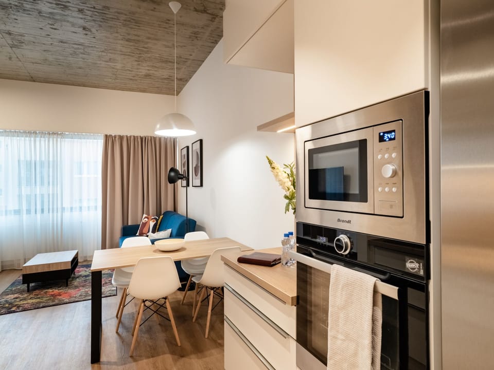 Deluxe Apartment | Private kitchen | Full-size fridge, microwave, oven, stovetop