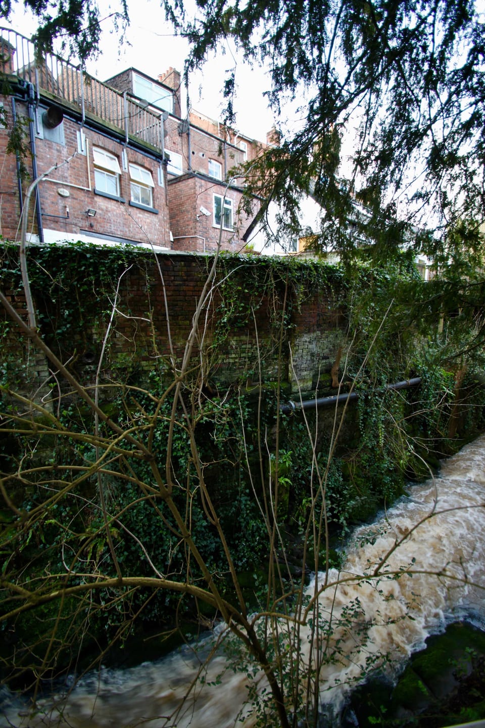 Lower Dam at rear of property