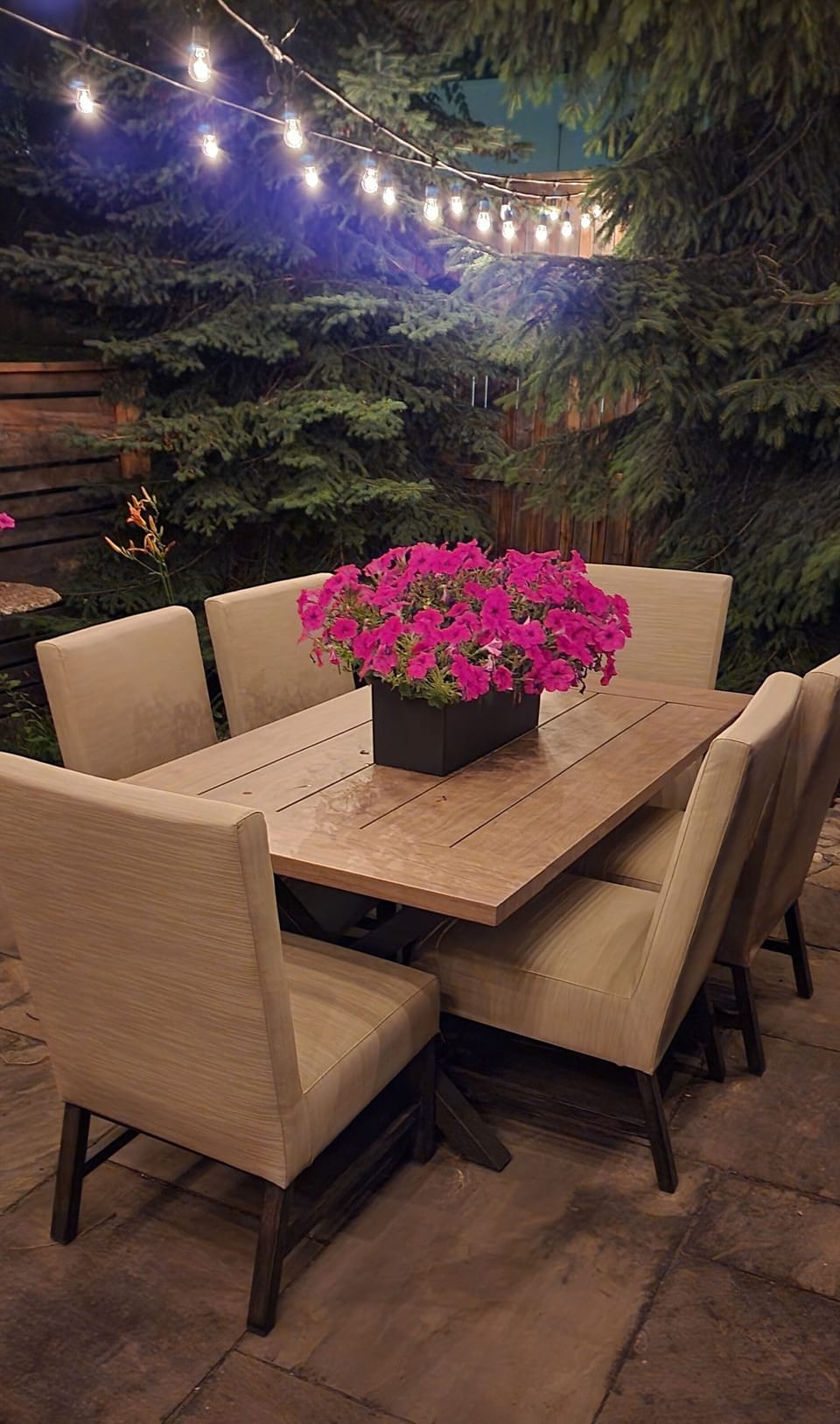Back yard patio table at night

