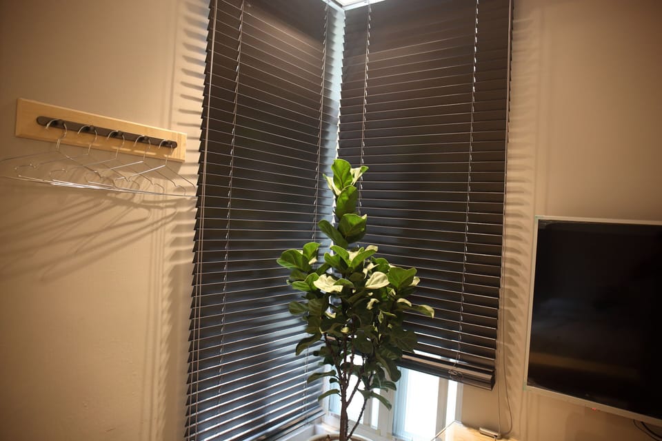 Flat-screen TV