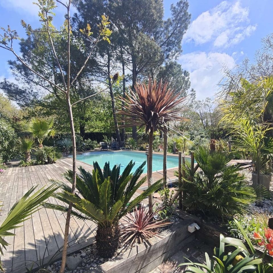 Heated saltwater pool surrounded by greenery