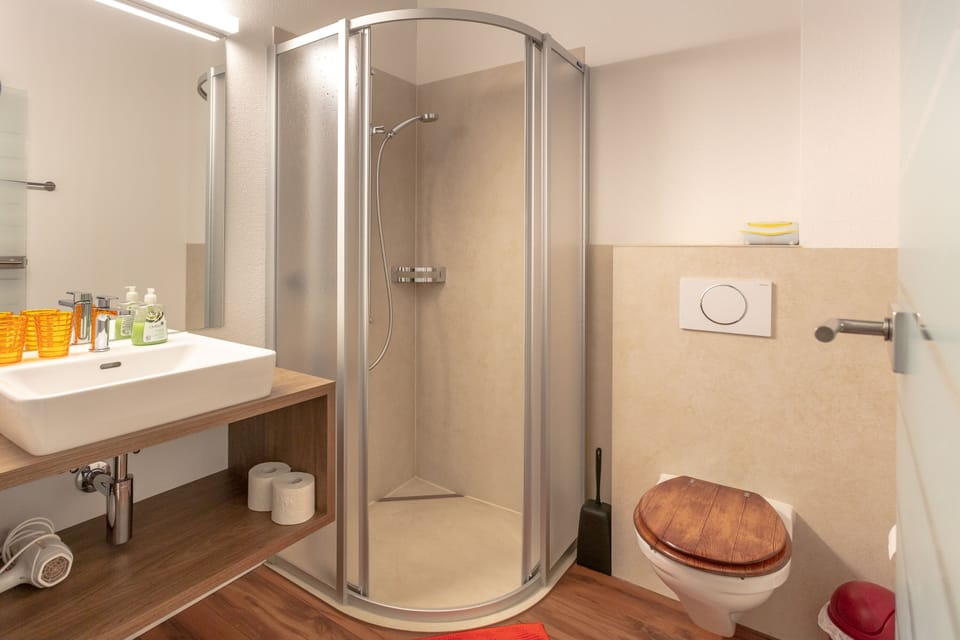 Shower, hair dryer, towels, toilet paper