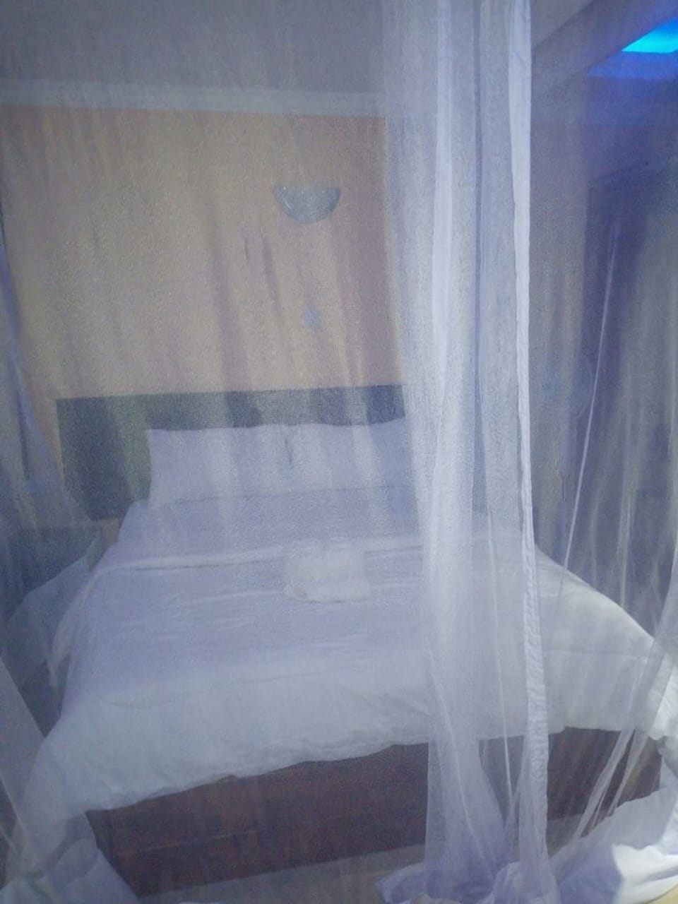 Desk, bed sheets