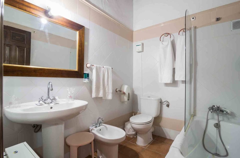 Combined shower/tub, rainfall showerhead, bidet, towels