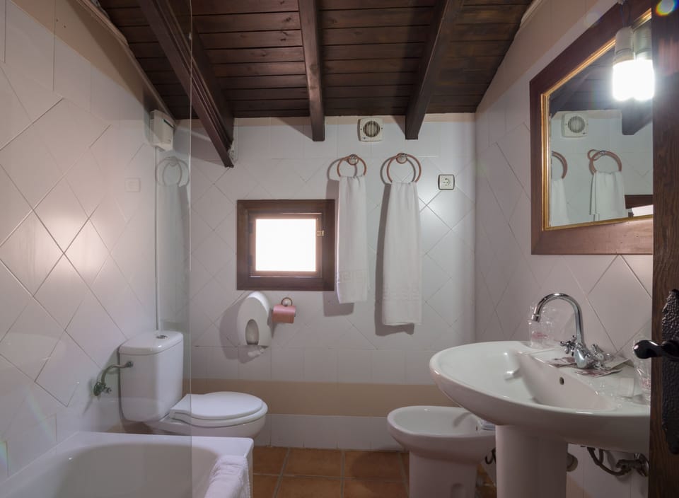 Studio | Bathroom | Combined shower/tub, rainfall showerhead, bidet, towels
