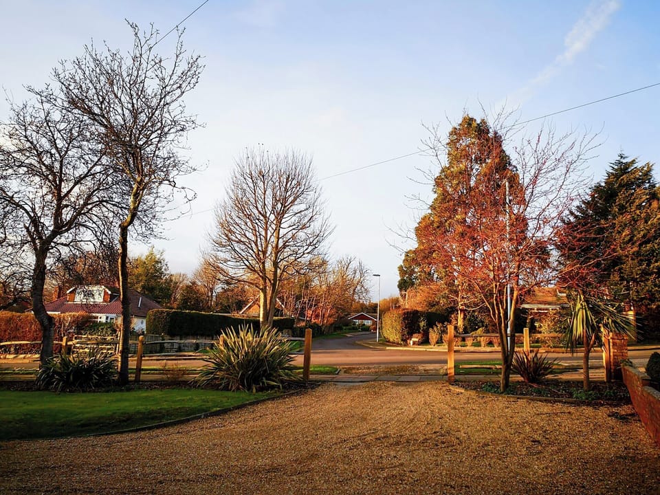 View | The White House Studio, Worthing