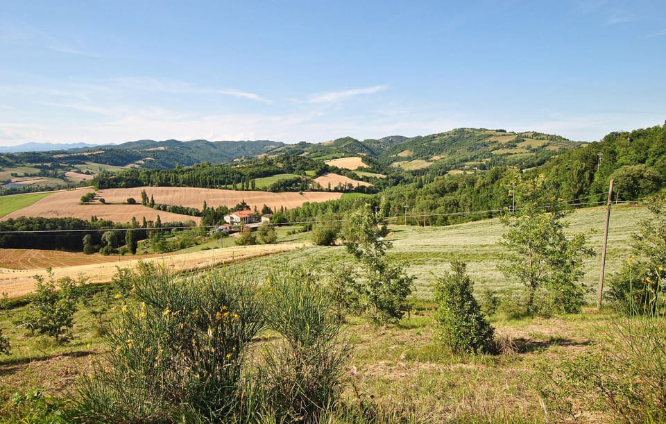 area